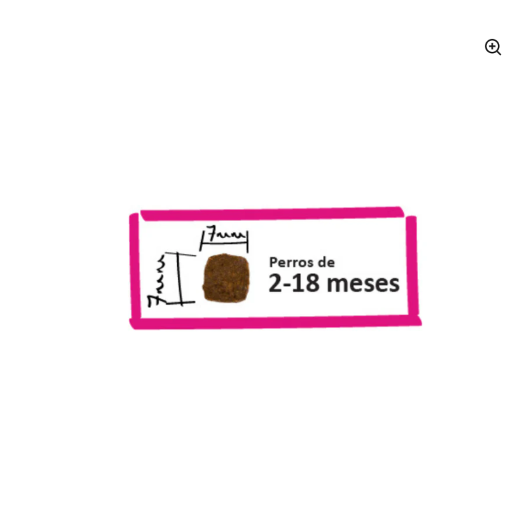 Lenda Urban First Bite x 10 kg