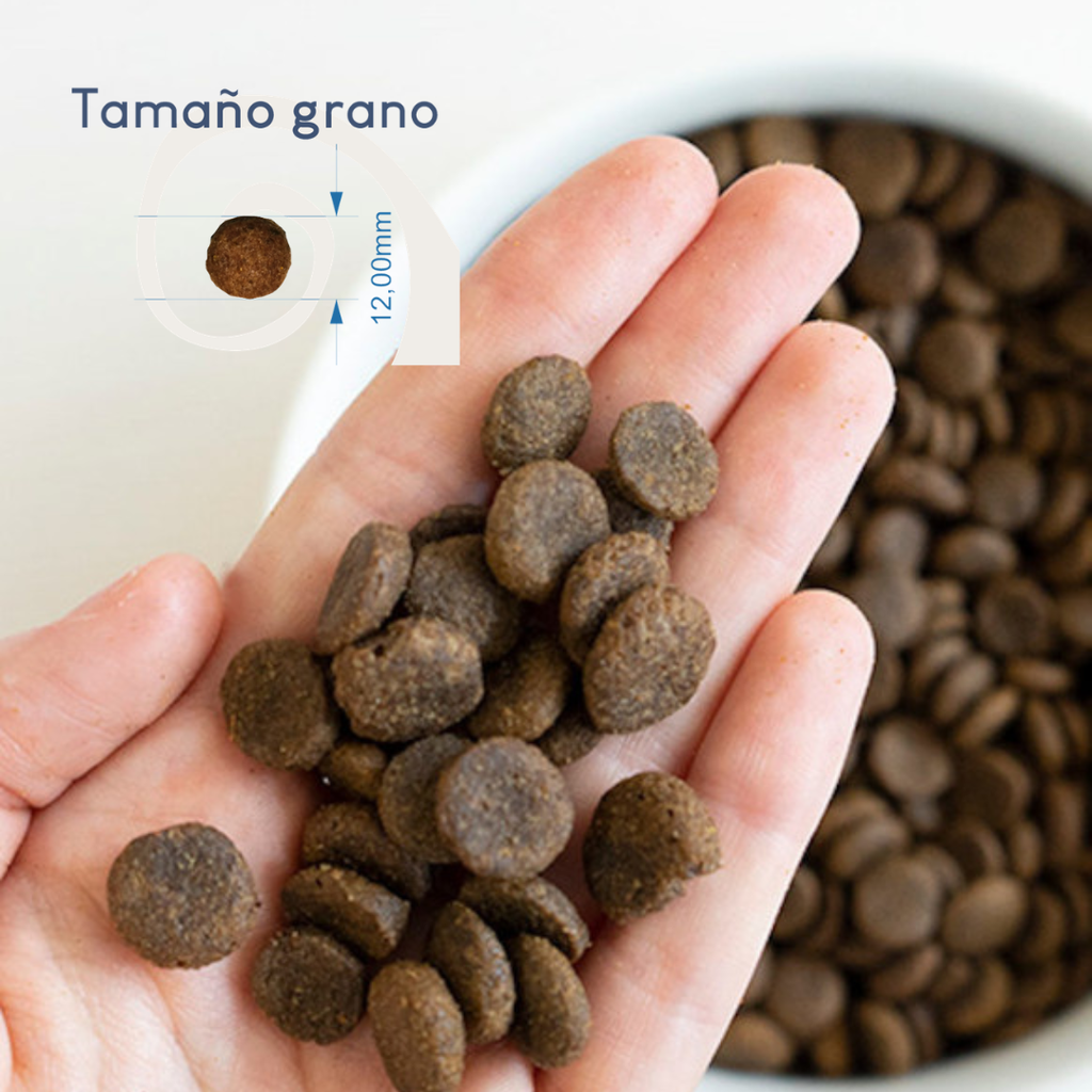 Lenda SENSITIVE grain free x 12 kg