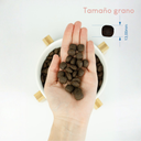 Lenda Salmon x 12 kg