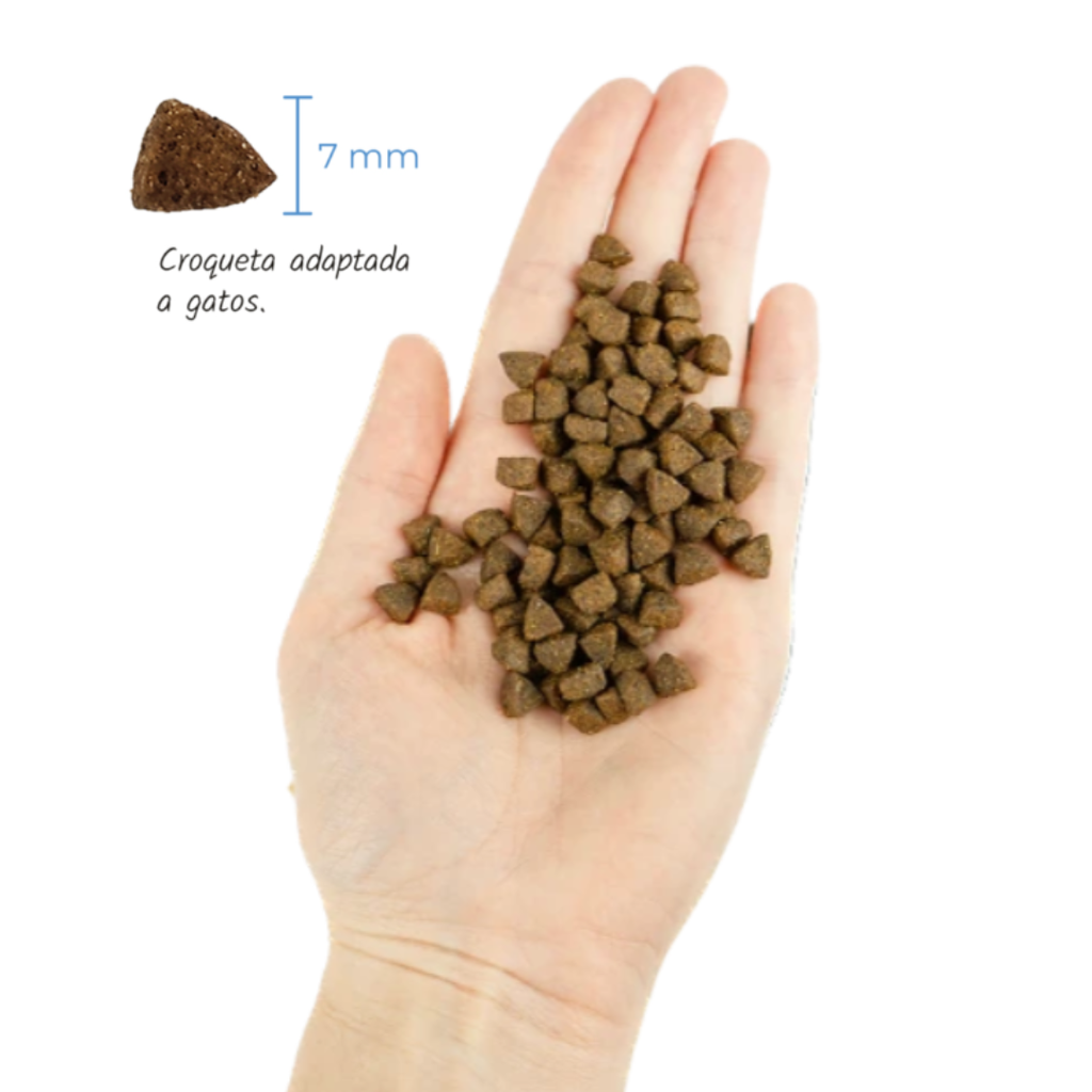 Lenda Adult Cat Light & Sterilized Grain Free x 2 kg