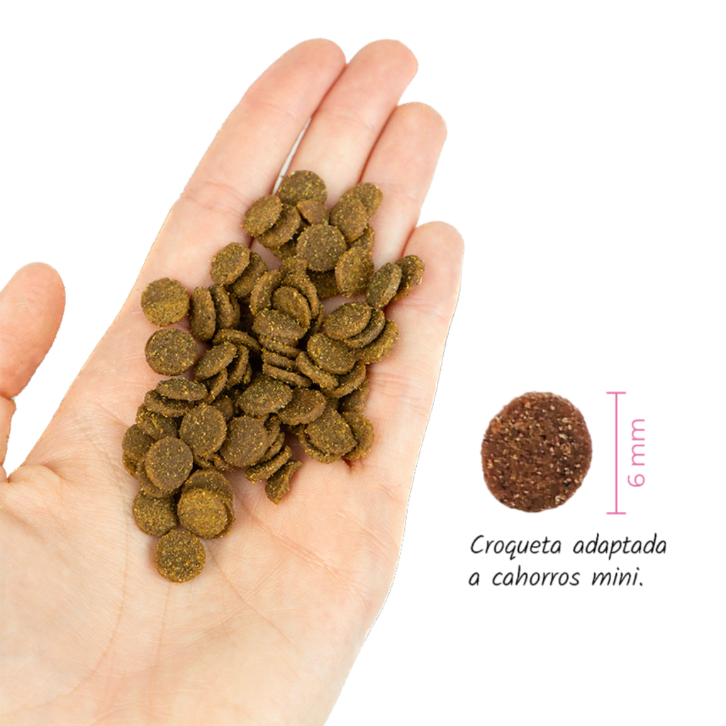 Lenda Mini Puppy First Bite x 2 kg