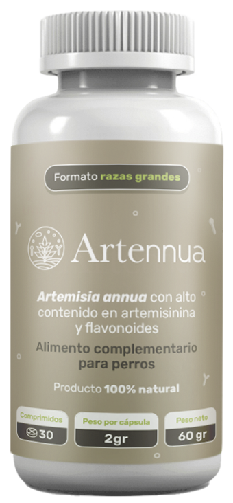ARTENNUA x 30 comprimidos
