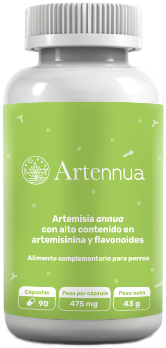 ARTENNUA x 90 capsulas