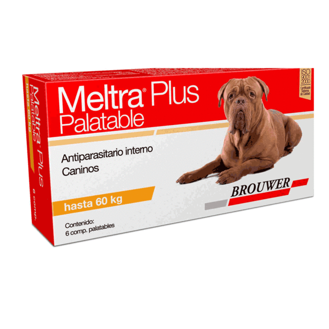MELTRA PLUS PALAT. x 6 comp.