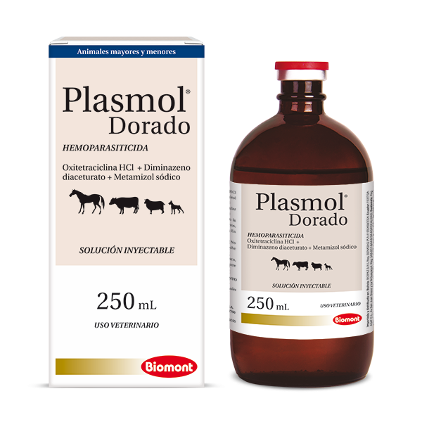 PLASMOL DORADO x 250 ml