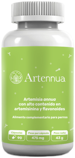 ARTENNUA x 90 capsulas