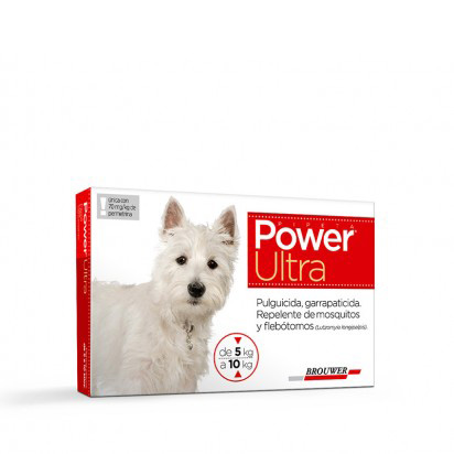 POWER ULTRA x 1,75 ml (ROJO)