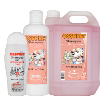 SHAMPOO c/ KETOCONAZOL x 250 cc