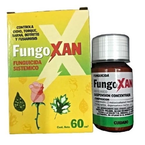 FUNGOXAN x 60 ml