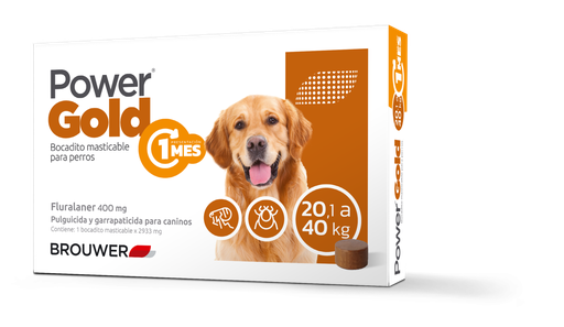 POWER GOLD 1 MES - 20/40 KG (Naranja)